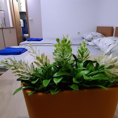 Apartment Riki 3 Near Bus Station Ohrid Eksteriør bilde